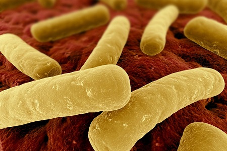 О Токсин А-отрицательных, токсин В-положительных Clostridium difficile