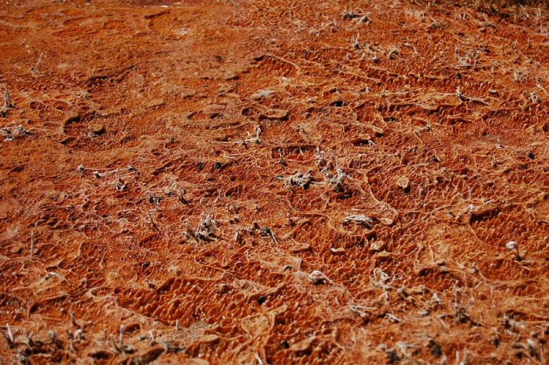 Биологи нашли бактерии, живущие на километр ниже морского дна