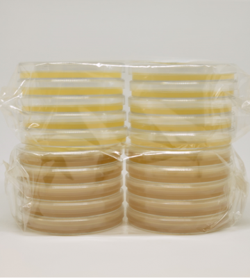 Ч0804.1.30.4Н.1У Среда Сабуро с 4 нейтрализаторами, одинарная упаковка (седиментационные) - Ч0804.1.30.4Н.1У